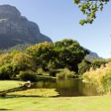 ZAF WC CapeTown 2016NOV14 KNBG 002 : 2016, 2016 - African Adventures, Africa, November, South Africa, Southern, Western Cape, Cape Town, Kirstenbosch National Botanical Garden